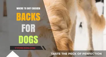 Best Places to Buy Chicken Backs for Your Dog's Diet