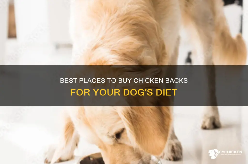 where to buy chicken backs for dogs