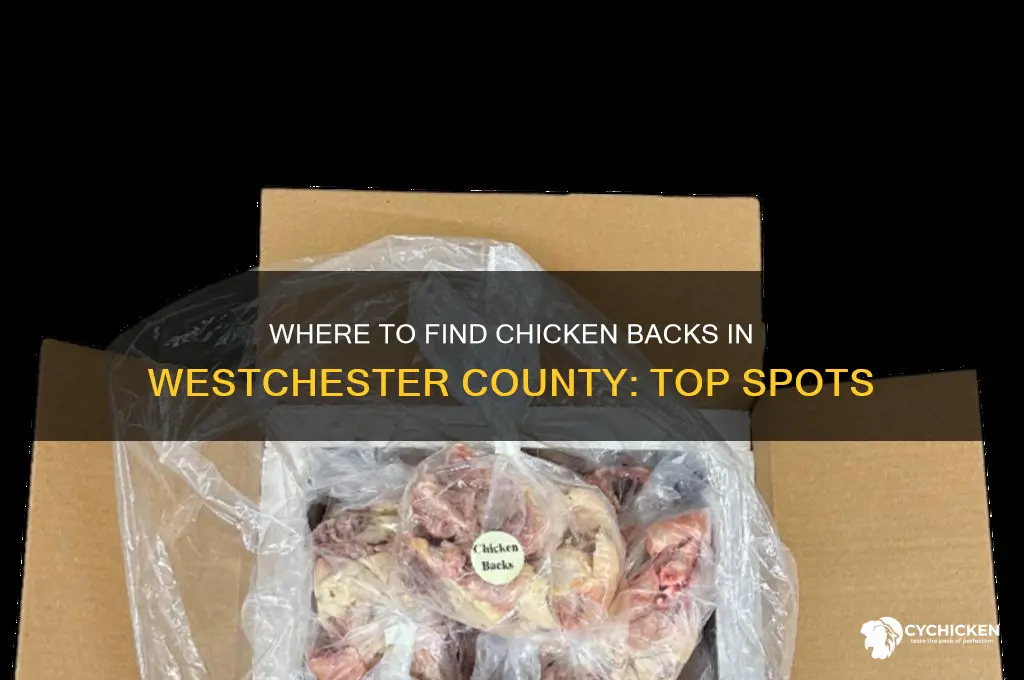 where to buy chicken backs in westchester county