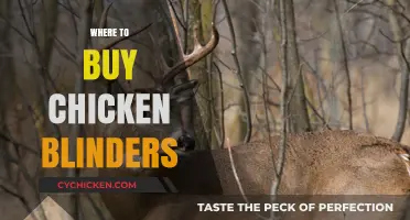 Where to Buy Chicken Blinders: Top Retailers and Online Options