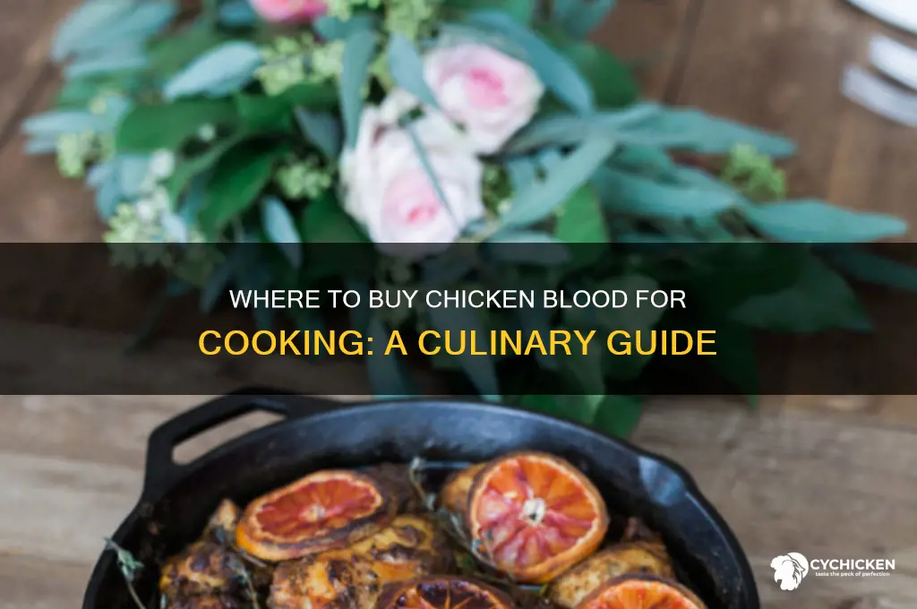 where to buy chicken blood for cooking