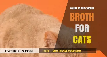 Purr-fectly Nourishing: Top Spots to Buy Chicken Broth for Cats
