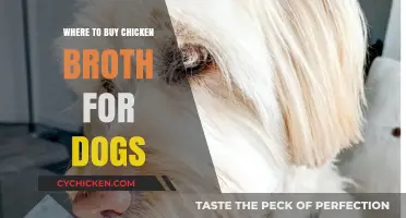 Where to Buy Chicken Broth for Dogs: A Comprehensive Guide