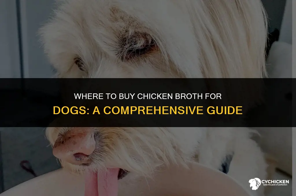where to buy chicken broth for dogs