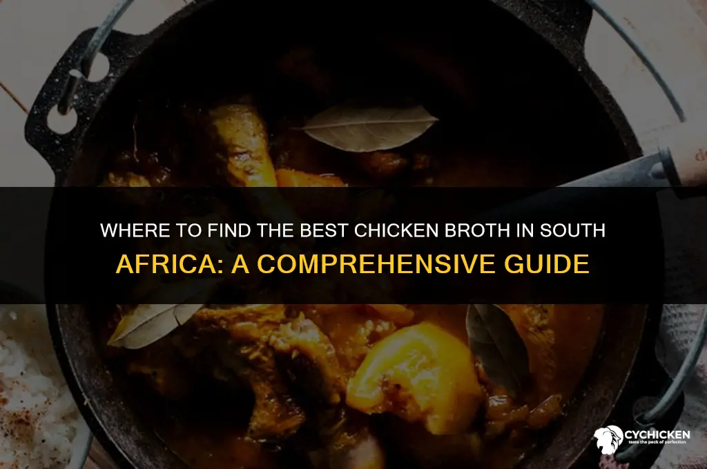 where to buy chicken broth in south africa