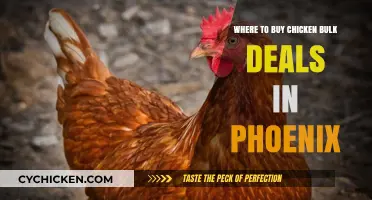 Best Bulk Chicken Deals in Phoenix: Top Stores and Tips