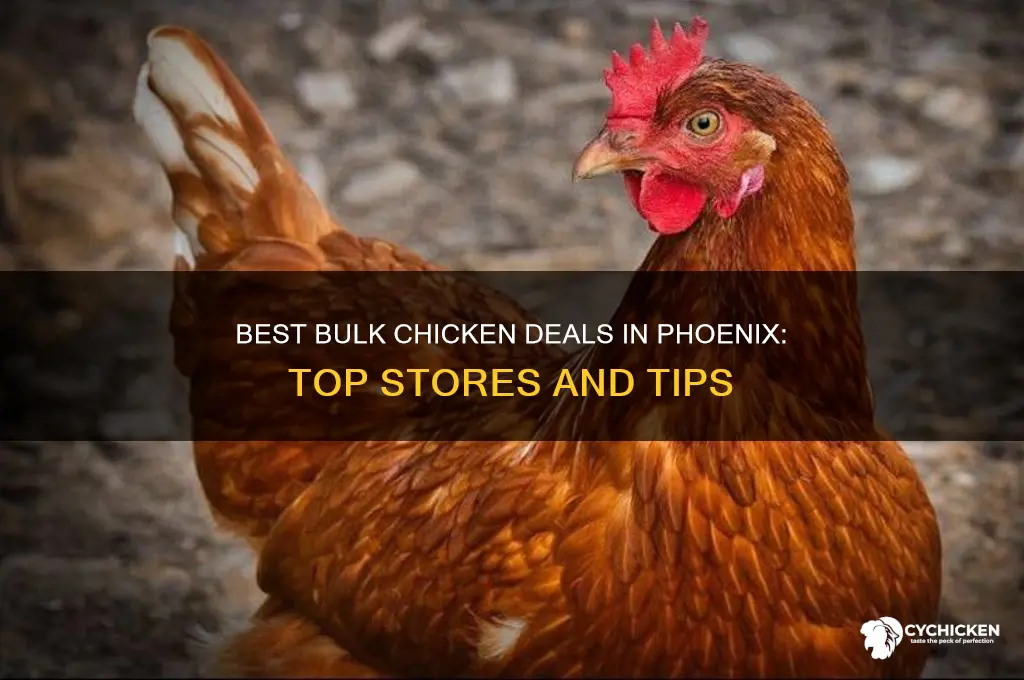 where to buy chicken bulk deals in phoenix