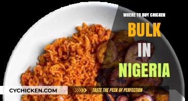 Affordable Bulk Chicken Suppliers in Nigeria: Top Buying Locations