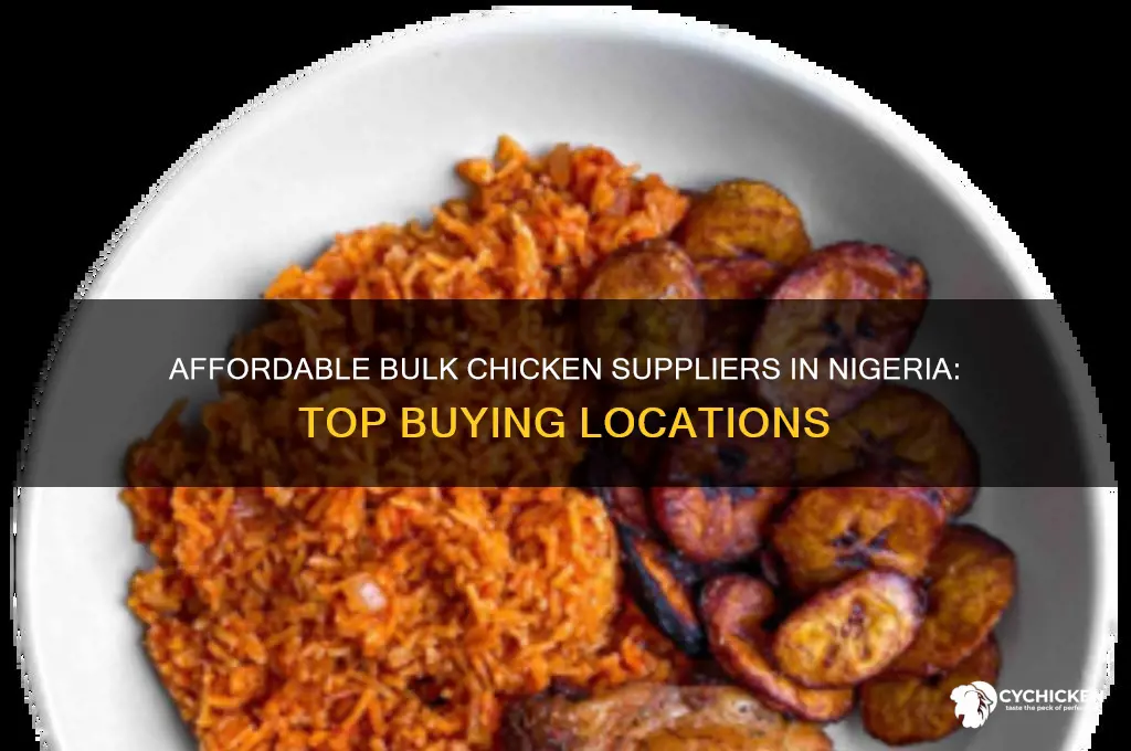where to buy chicken bulk in nigeria