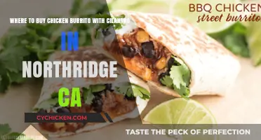 Best Spots for Cilantro-Loaded Chicken Burritos in Northridge, CA