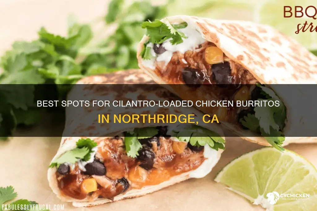 where to buy chicken burrito with cilantro in northridge ca