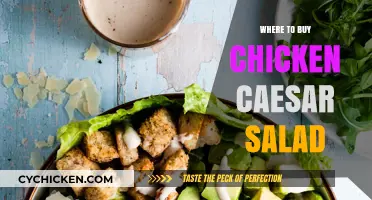 Top Spots to Buy Delicious Chicken Caesar Salad Near You