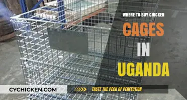 Best Places to Purchase Quality Chicken Cages in Uganda