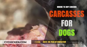 Best Places to Buy Chicken Carcasses for Dogs: A Guide