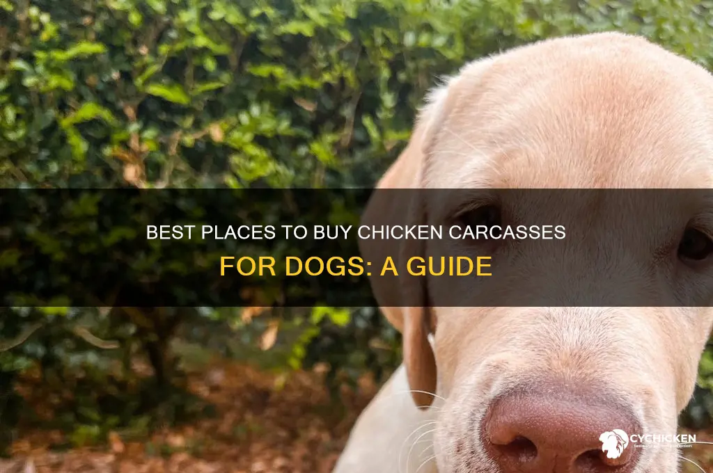 where to buy chicken carcasses for dogs