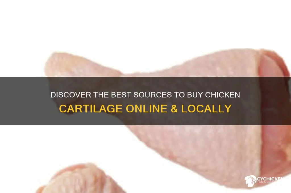 where to buy chicken cartilage