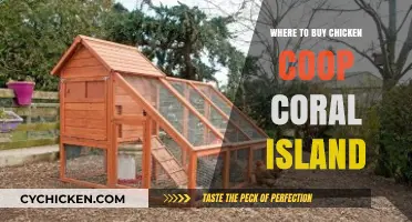 Best Places to Purchase Chicken Coops on Coral Island