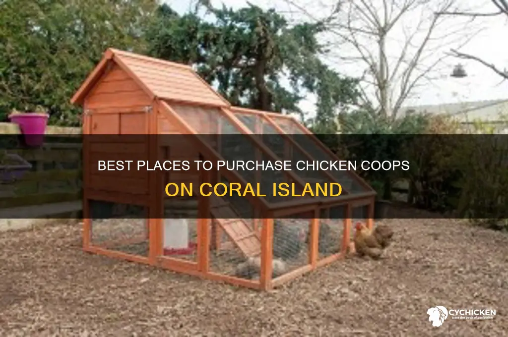 where to buy chicken coop coral island