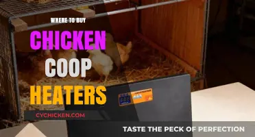 Best Places to Purchase Chicken Coop Heaters for Winter Comfort