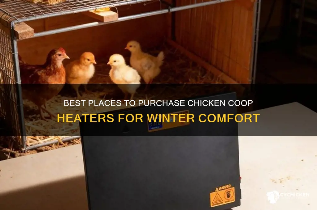 where to buy chicken coop heaters