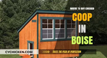 Top Boise Stores for Quality Chicken Coops: Your Ultimate Guide
