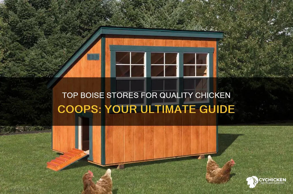 where to buy chicken coop in boise