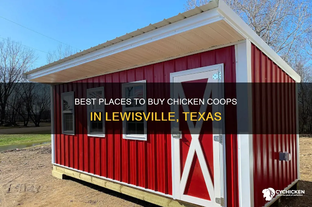 where to buy chicken coop lewisville