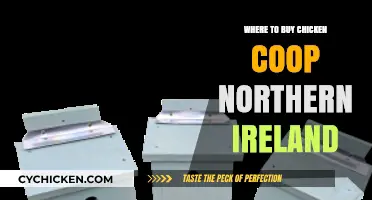 Best Places to Buy Chicken Coops in Northern Ireland