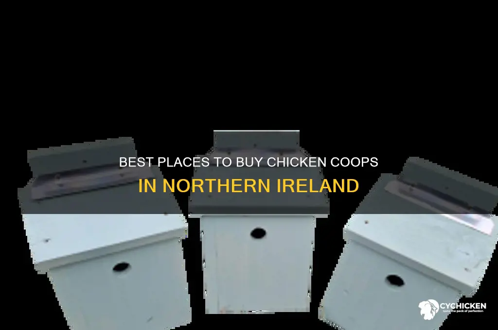 where to buy chicken coop northern ireland