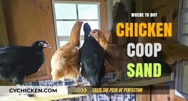 Best Places to Purchase Chicken Coop Sand for Your Flock