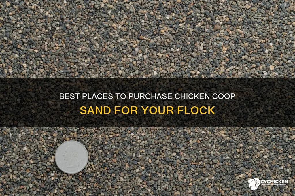 where to buy chicken coop sand