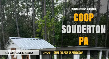 Best Places to Buy Chicken Coops in Souderton, PA