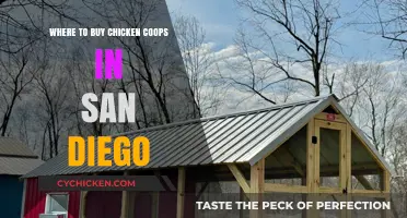 Top San Diego Stores for Quality Chicken Coops and Supplies
