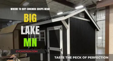 Best Chicken Coops Near Big Lake, MN: Local Buying Guide