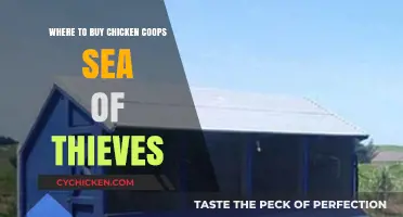 Best Places to Purchase Chicken Coops in Sea of Thieves