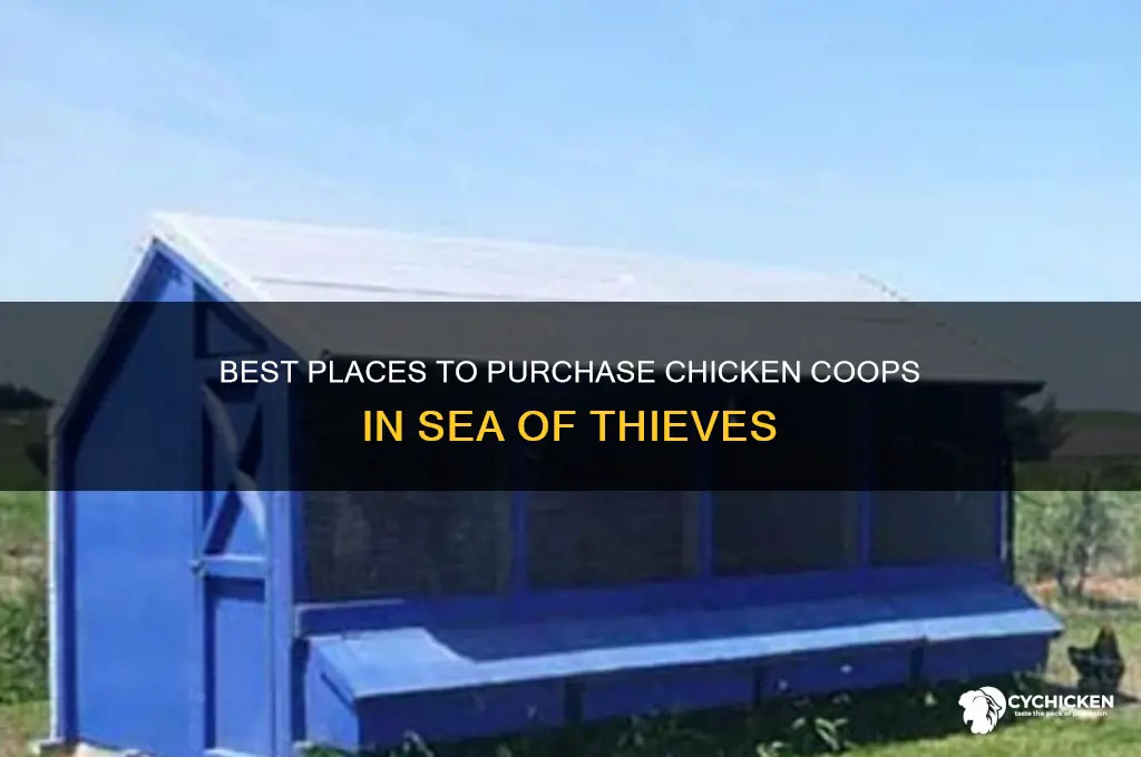 where to buy chicken coops sea of thieves