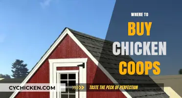 Best Places to Buy Quality Chicken Coops for Your Flock