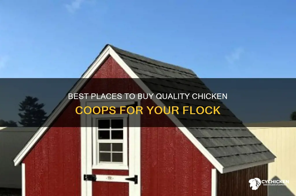 where to buy chicken coops