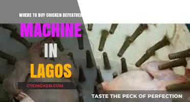 Where to Buy Chicken Defeather Machines in Lagos: Top Suppliers