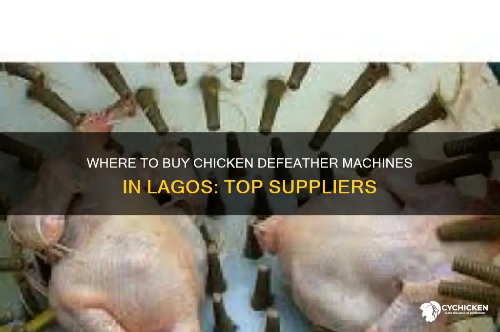 where to buy chicken defeather machine in lagos