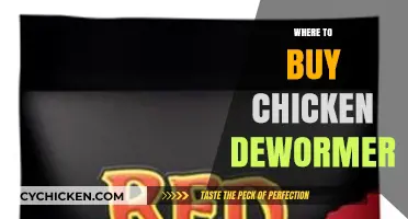 Best Places to Purchase Chicken Dewormer for Healthy Flocks