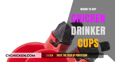 Best Places to Purchase Chicken Drinker Cups for Your Flock