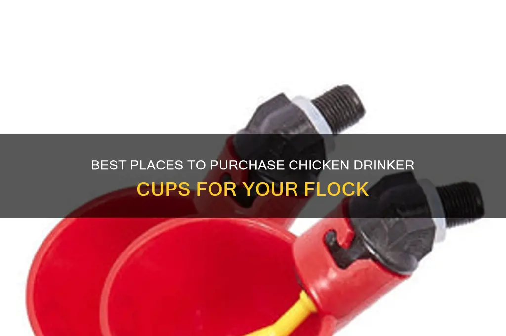 where to buy chicken drinker cups