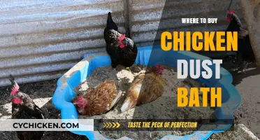 Best Places to Buy Chicken Dust Bath Supplies for Happy Hens