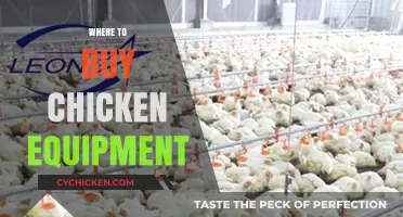 Essential Chicken Equipment: Top Retailers for Quality Supplies