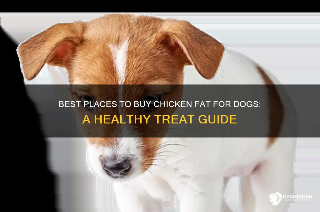 where to buy chicken fat for dogs