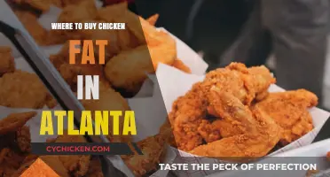 Where to Find Chicken Fat in Atlanta: Top Local Sources
