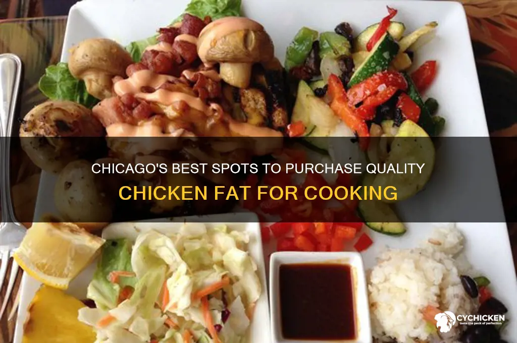 where to buy chicken fat in chicago