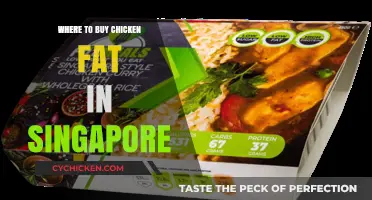 Where to Buy Chicken Fat in Singapore: Top Retailers and Tips