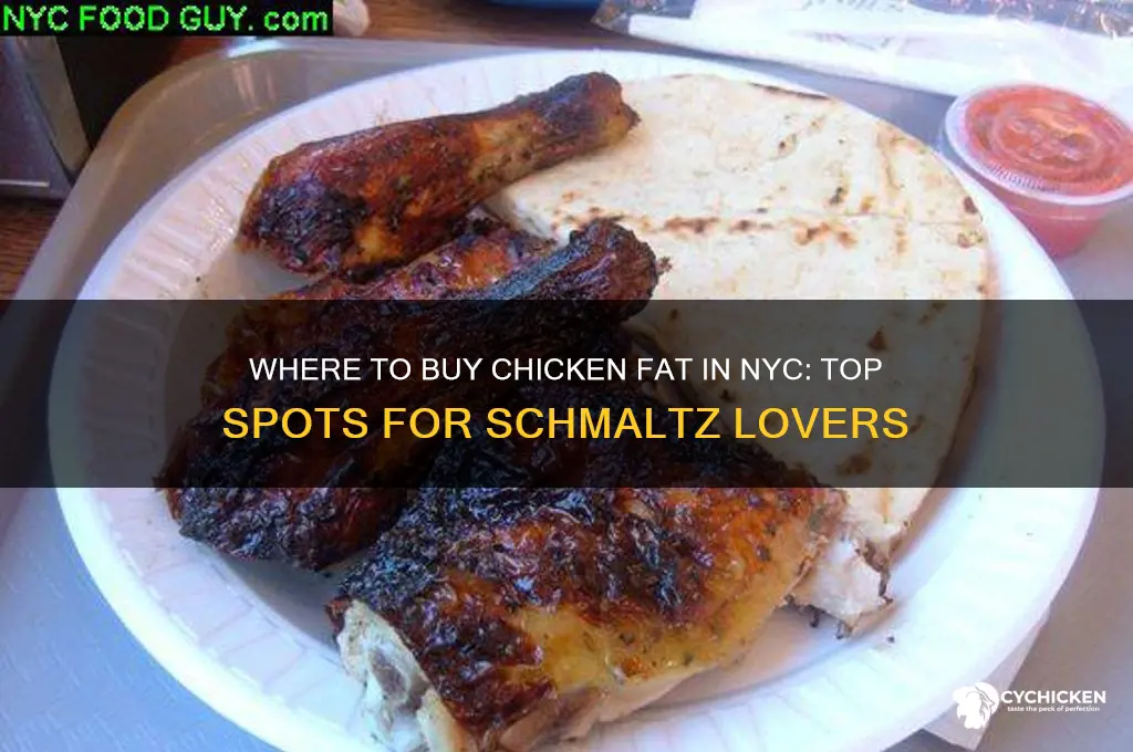 where to buy chicken fat nyc